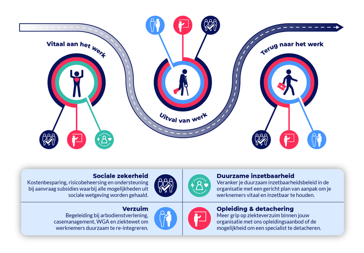 Infographic 4 domeinen